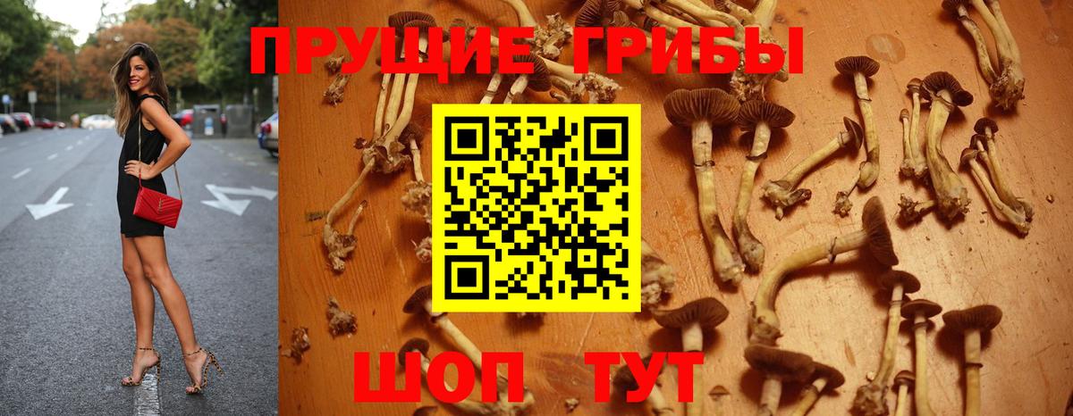 Лиски  Псилоцибиновые грибы Psilocybe  Псилоцибиновые грибы Psilocybe  Вход с VPN 